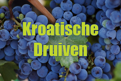 kroatische druiven