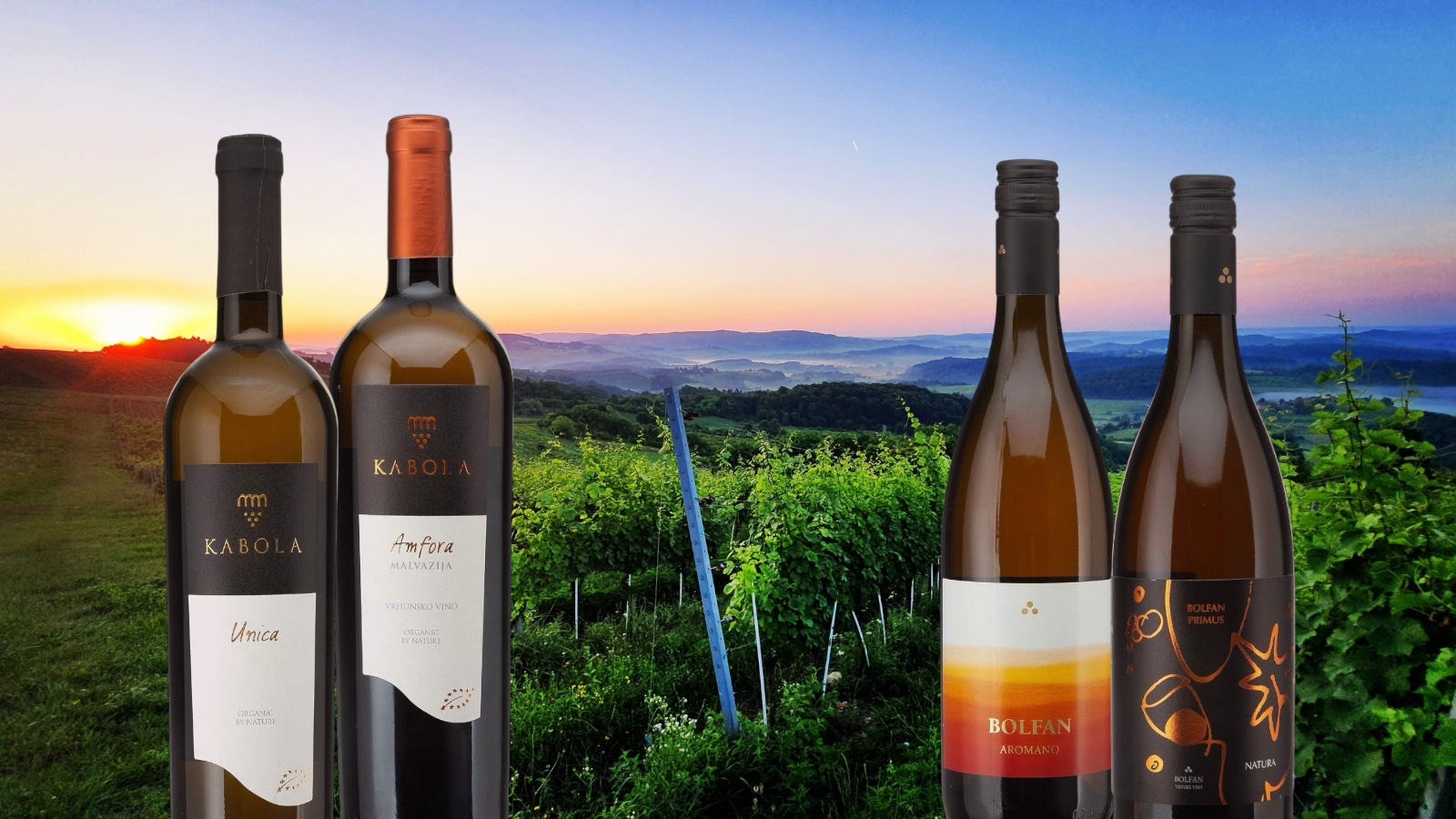 Oranhe Wine uit Kroatië