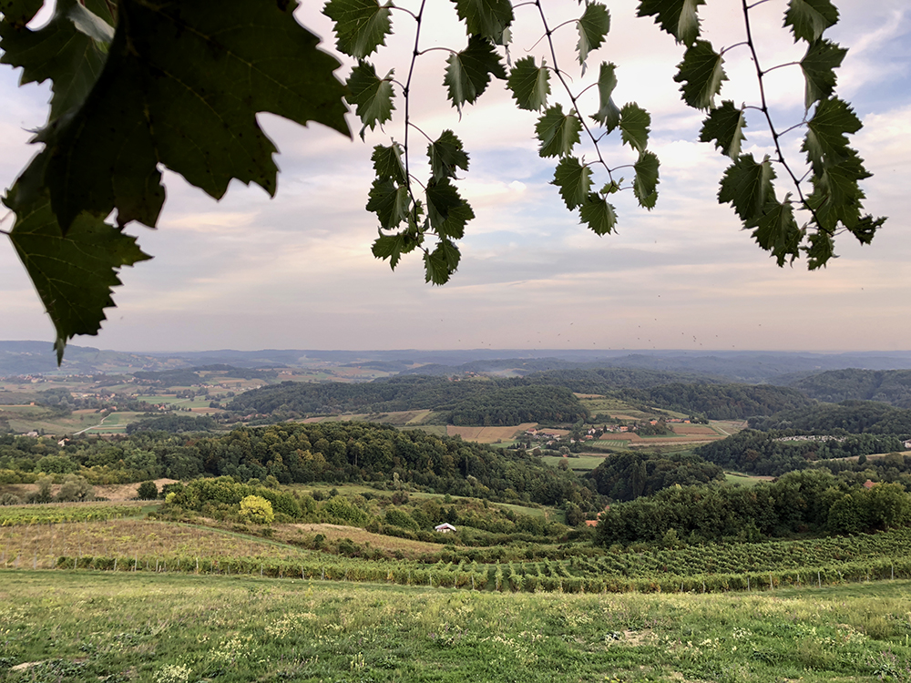 Wijngebied Zagorje 2